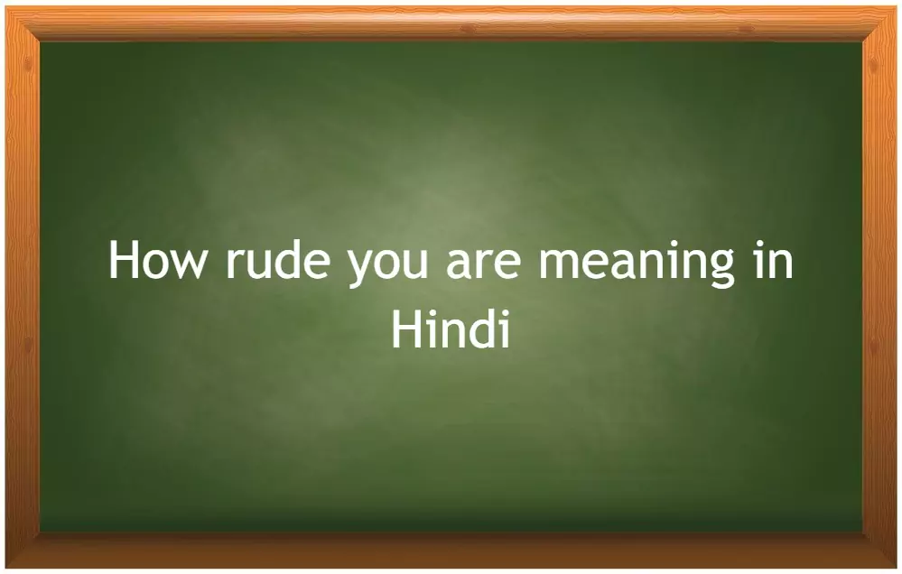 How rude you are meaning in Hindi