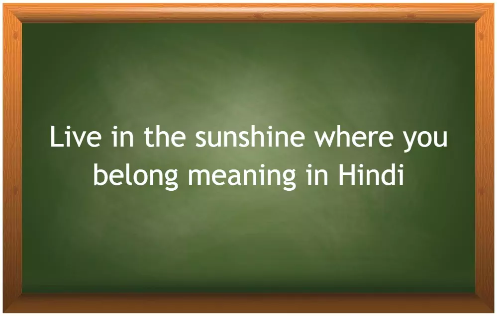 Live in the sunshine where you belong meaning in Hindi