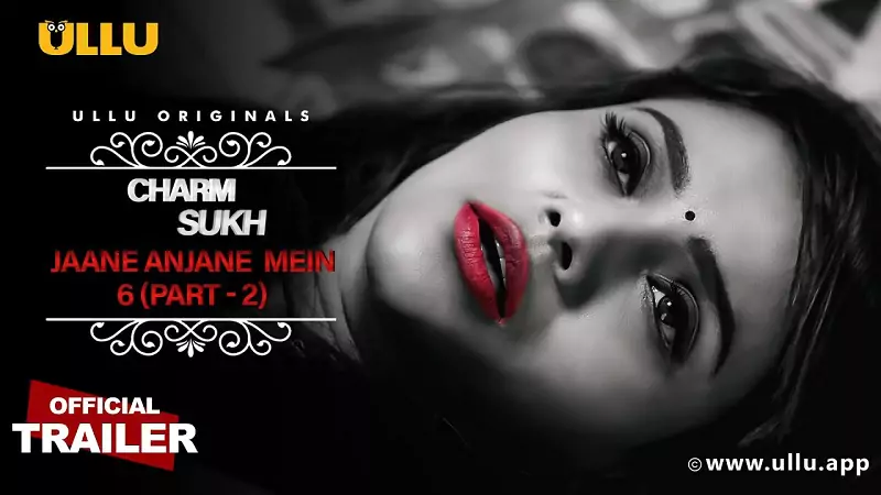 charmsukh jane anjane mein 6 part 2 Hindi sexy video