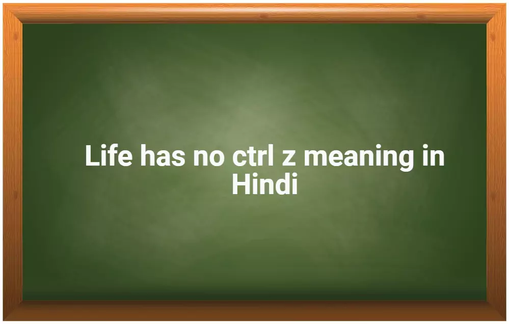 life has no ctrl z meaning in hindi